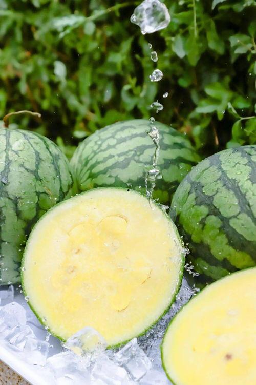 九幺18 黑料吃瓜入口,黑料吃瓜入口，带你走进娱乐圈的暗流涌动