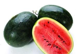 黑瓜吃料正能量往期内容51吃瓜,正能量满满，瓜界新风尚