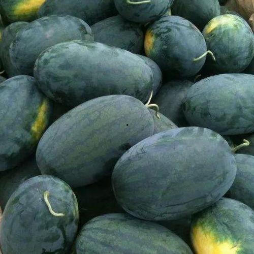 黑料吃瓜网3.0,揭秘娱乐圈最新猛料，带你走进幕后真相