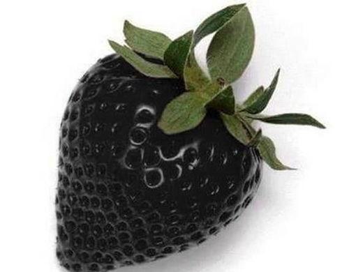 国产吃瓜黑料精品