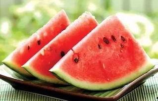 51黑瓜吃料网干什么的,专业食材信息平台深度解析